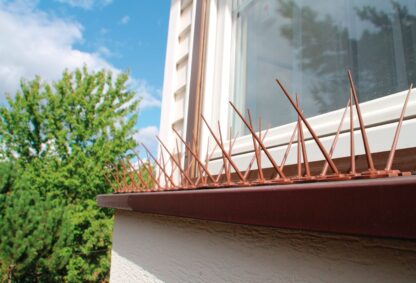 Kolce na ptaki gołębie 100cm x16cm Jasny Brąz modułowe nie raniące 040446 ZMM Maxpol
